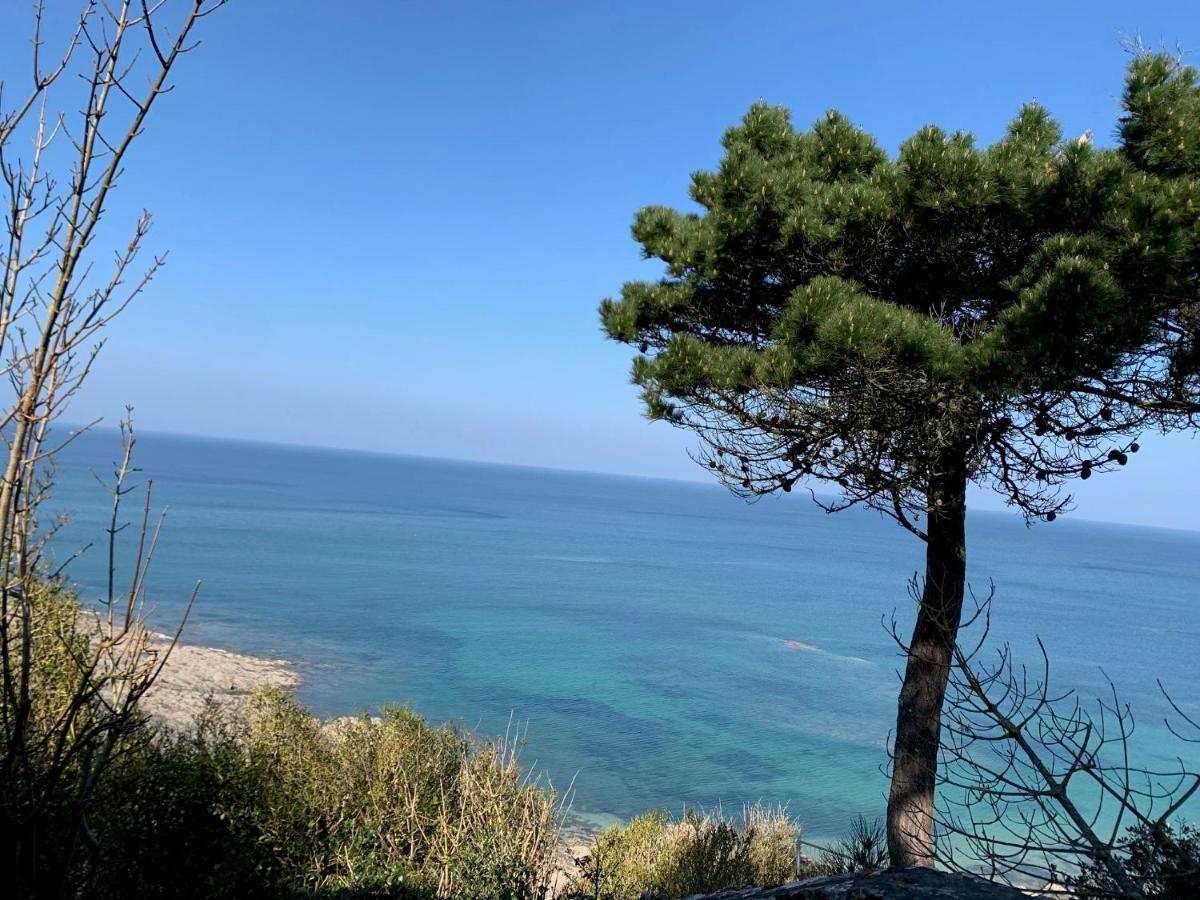 Appartement Villa Chausey, Vue Sur Le Port Granville Exteriör bild